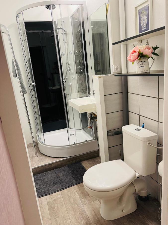 Le Cosy - Lumineux - Proche De Rennes - Spacieux 利夫尔 外观 照片